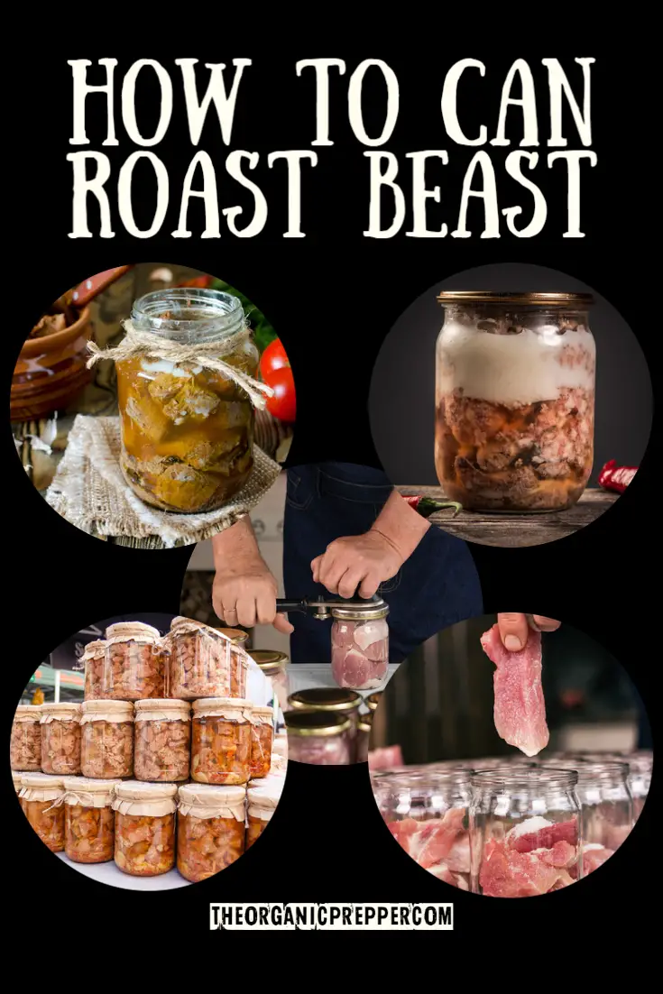 How to Can Roast Beast