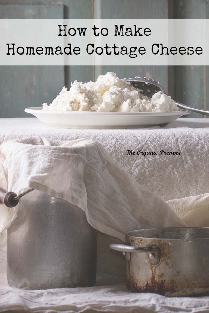 How to Make Homemade Cottage Cheese