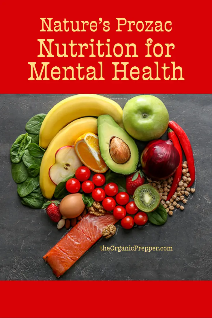Nature\'s Prozac: Nutrition for Mental Health