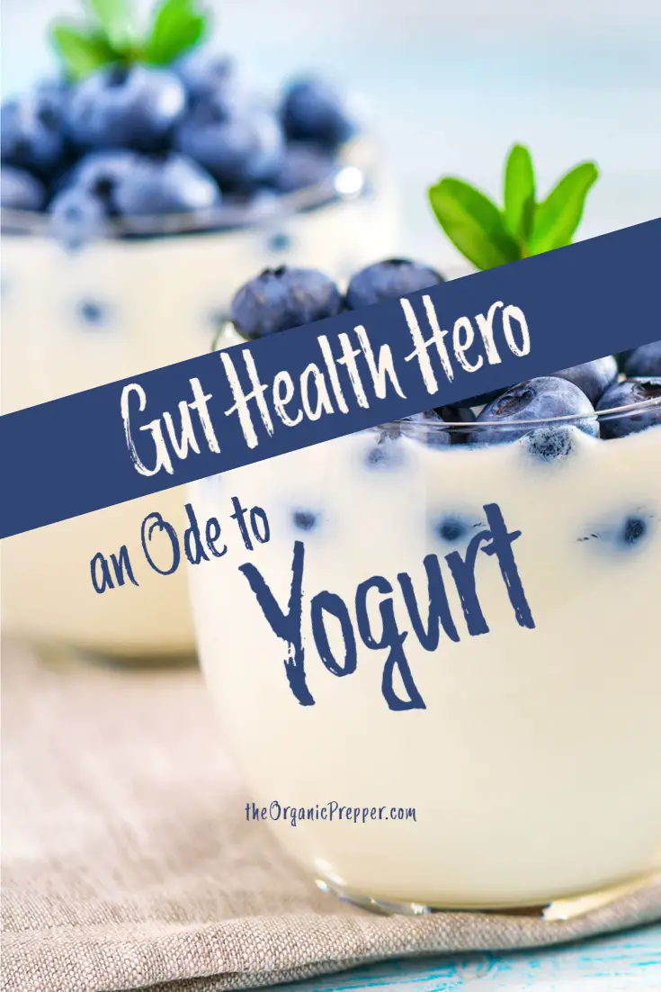 Gut Health Hero: An Ode to Yogurt