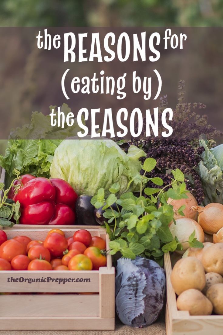 The Reasons for (Eating by) the Seasons
