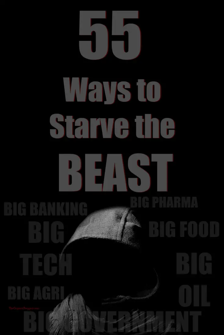 55 Ways to Starve the Beast