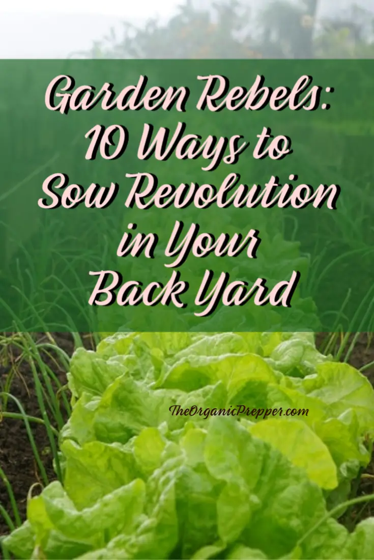Garden Rebels: 10 Ways to Sow Revolution in Your Back Yard (and Why You MUST Declare Your Independence)