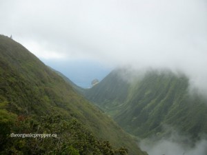 beautiful off grid molokai