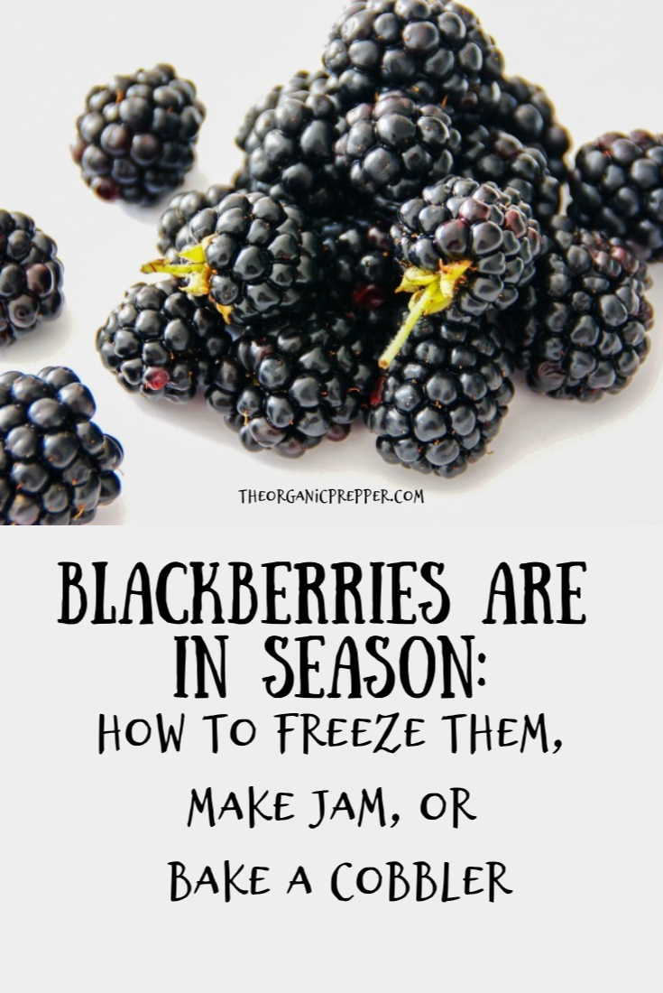 This Week's Harvest Blackberries