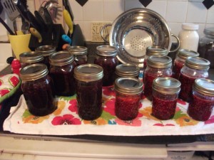 blueberryandraspberryjams018