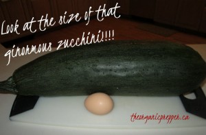 huge zuke