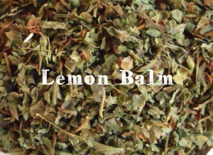 lemon balm