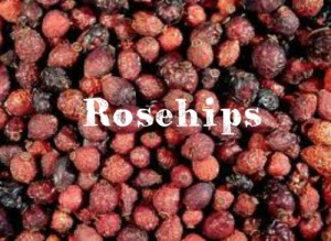 rosehips
