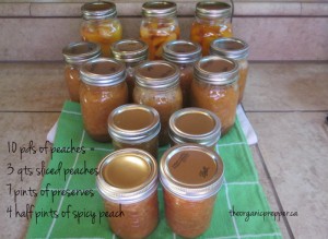 peach canning