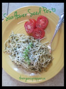 sunflower seed pesto