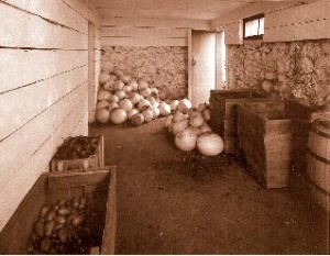 root-cellar