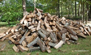 woodpile