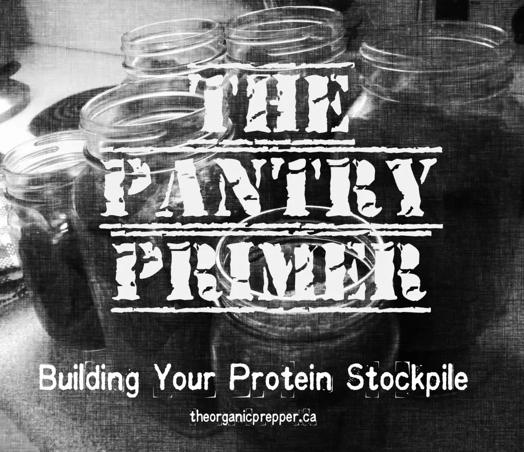 Protein in Your Diet Building-Your-Protein-Stockpile