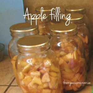 apple filling