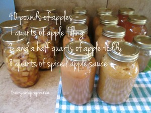 canning a bushel of apples