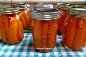 canning carrots