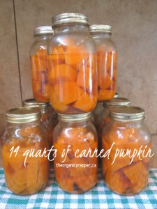 canned pumpkin