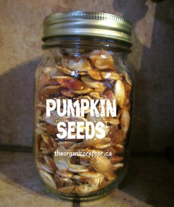 pumpkin seeds