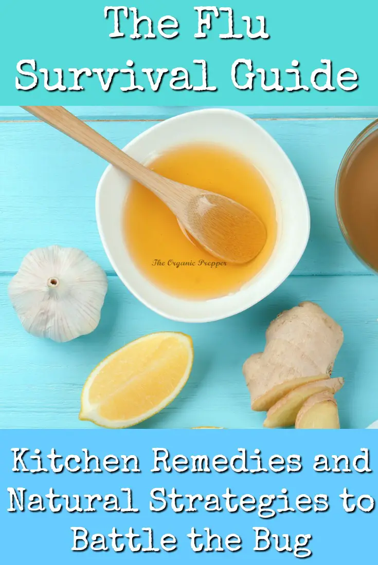 The Flu Survival Guide: Kitchen Remedies and Natural Strategies to Battle the Bug