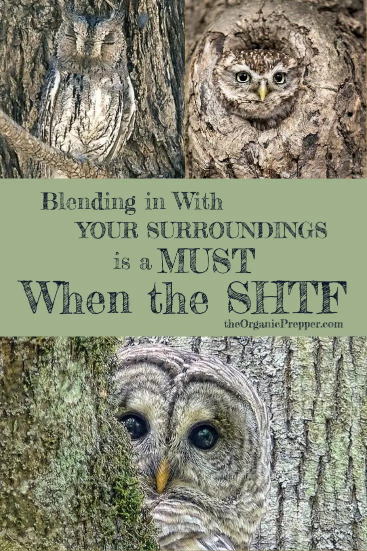 Blending in With Your Surroundings is a Must When the SHTF
