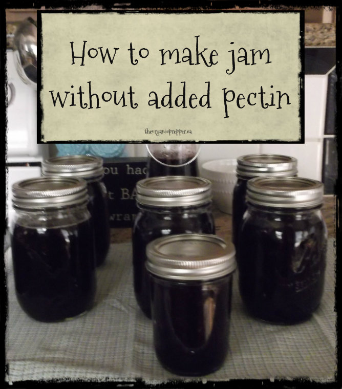 How to Make Jam without Using Added Pectin The Organic Prepper