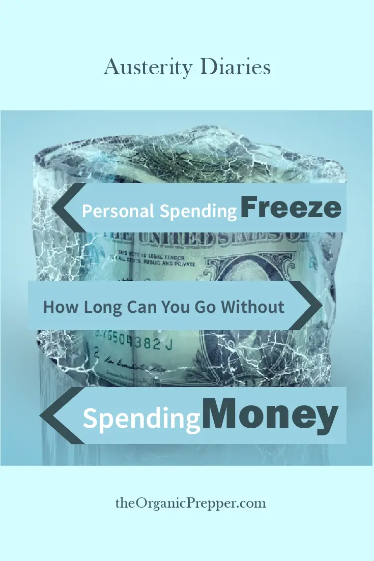 Personal Spending Freeze: How Long Can You Go Without Spending Money?
