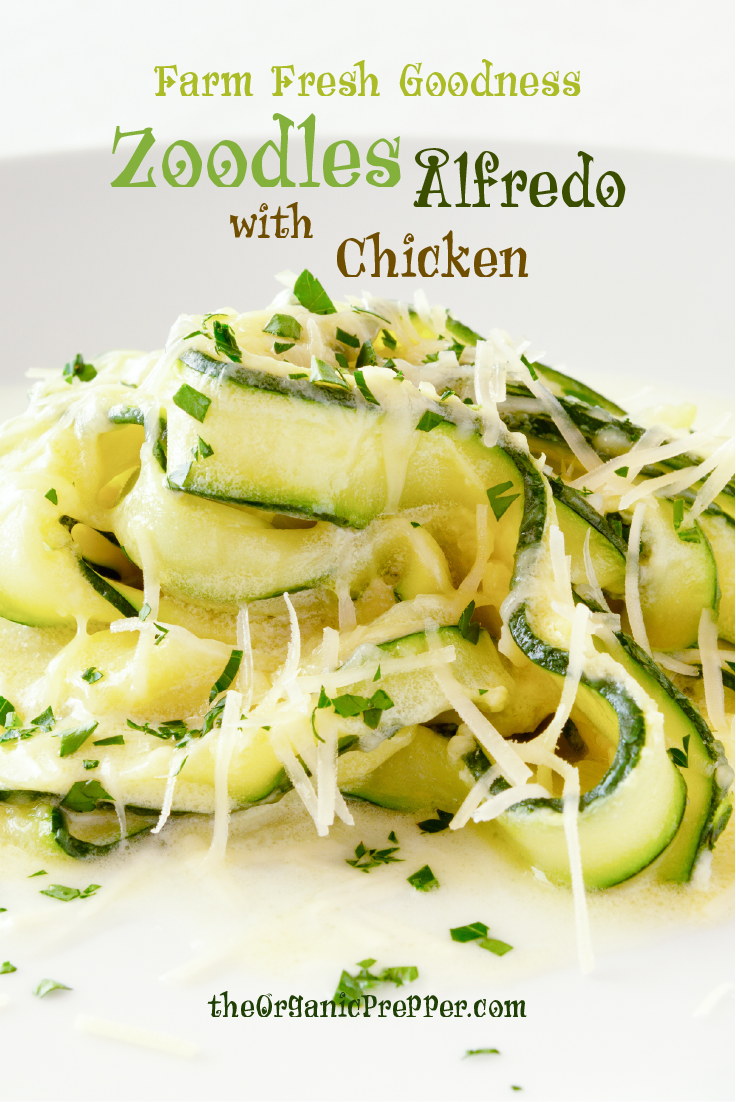 Farm Fresh Goodness: Zoodles Alfredo with Chicken