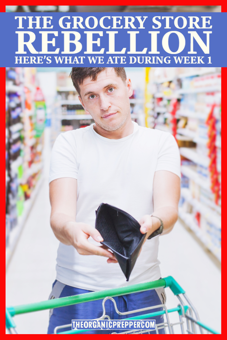 The Grocery Store Rebellion: Here's What We Ate During Week 1