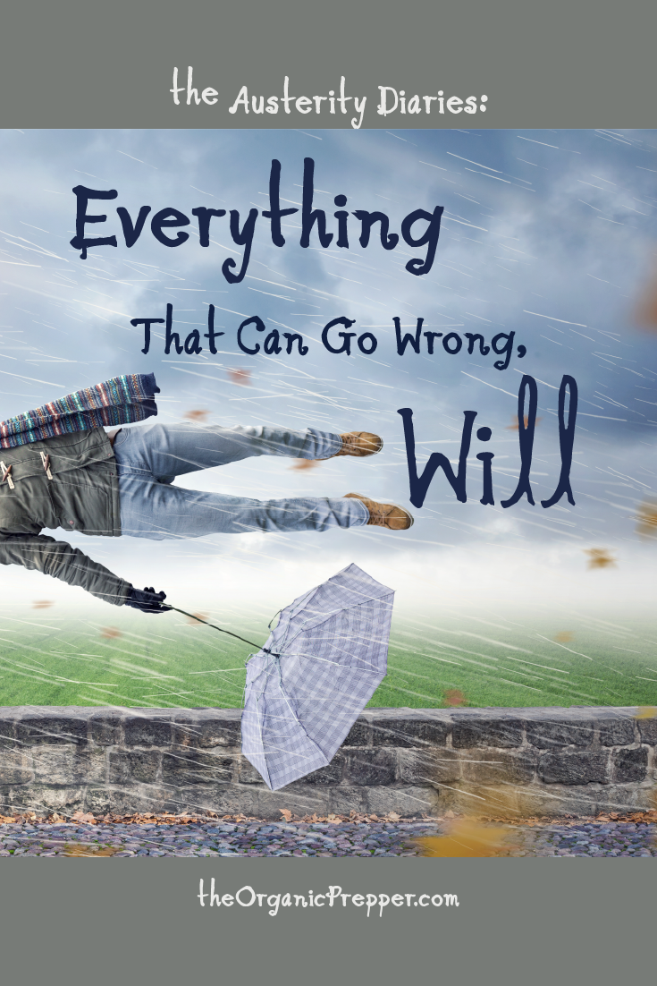 The Austerity Diaries Everything That Can Go Wrong Will The Organic