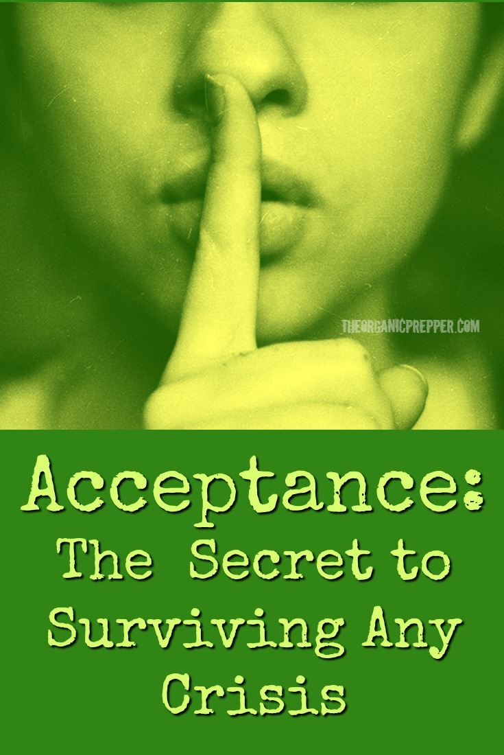 Acceptance: The Secret to Surviving Any Crisis