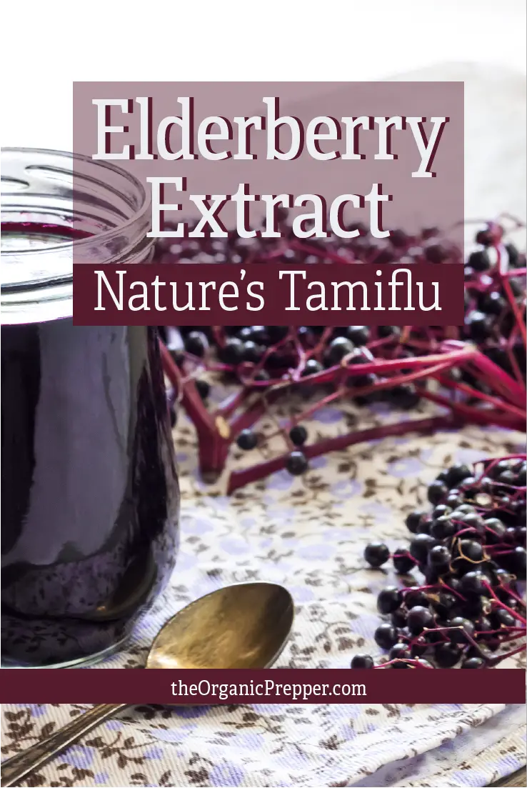Elderberry Extract for the Flu: Nature\'s \