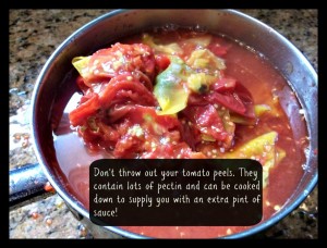 tomato peel sauce