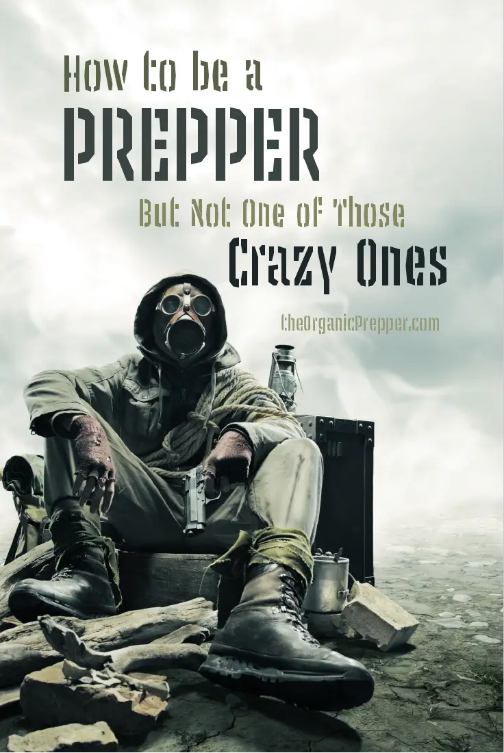 How to be a Prepper...But Not One of Those Crazy Ones