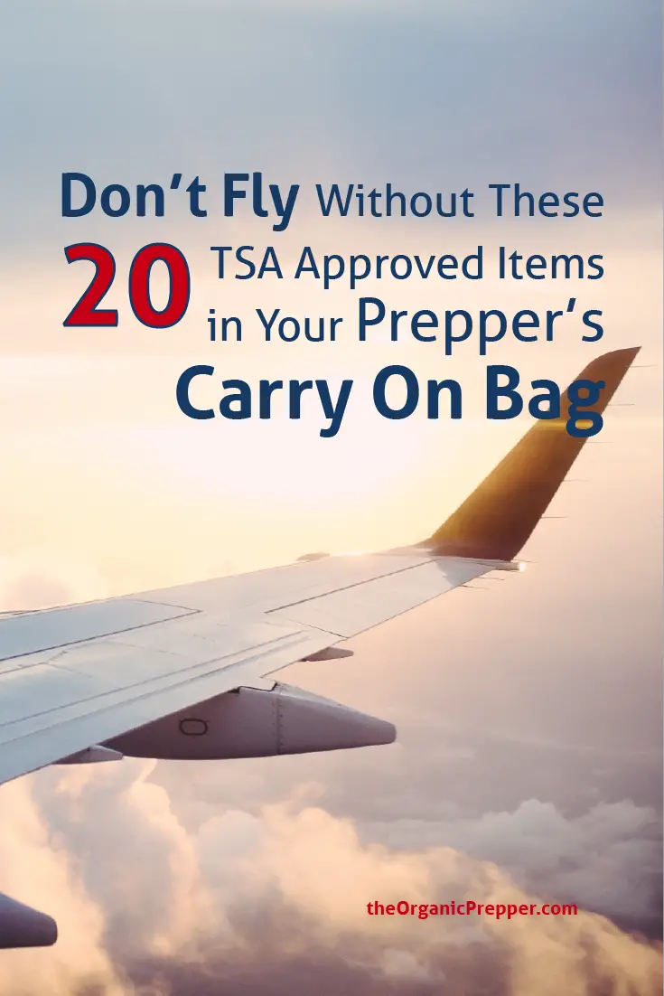 Don\'t Fly Without These 20 TSA-Approved Items in Your Prepper\'s Carry-on Bag