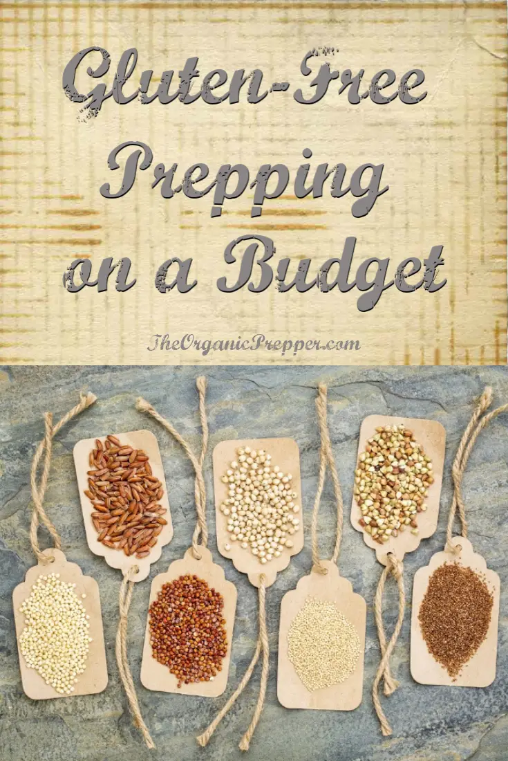 Gluten-Free Prepping on a Budget