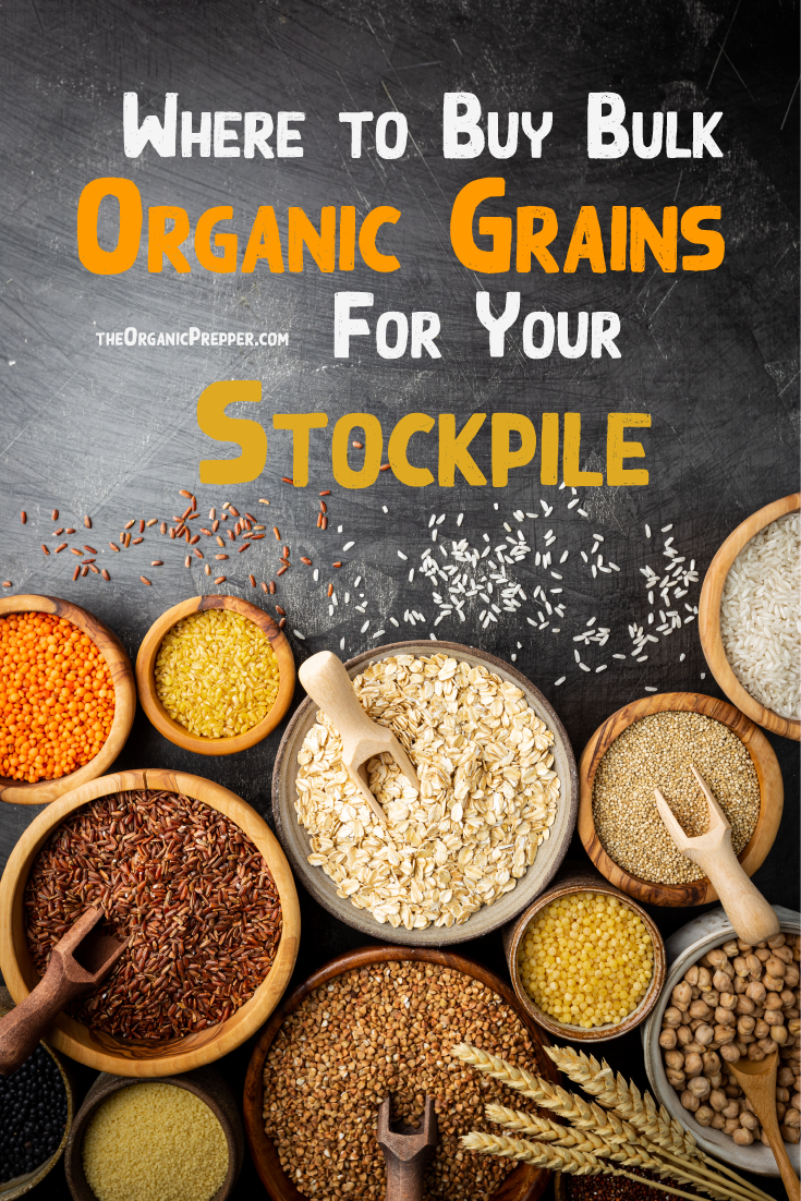 Where to Buy Bulk Organic Grains for Your Stockpile