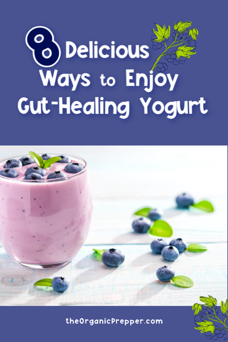 8 Delicious Ways to Enjoy GutHealing Yogurt The Organic Prepper