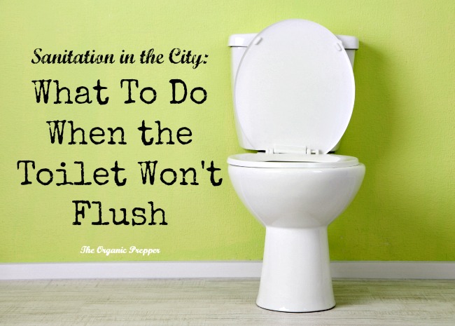 Sanitation in the City: What To Do When the Toilet Won\'t Flush - The ... Sanitation in the City: What To Do When the Toilet Won\'t Flush - The ...