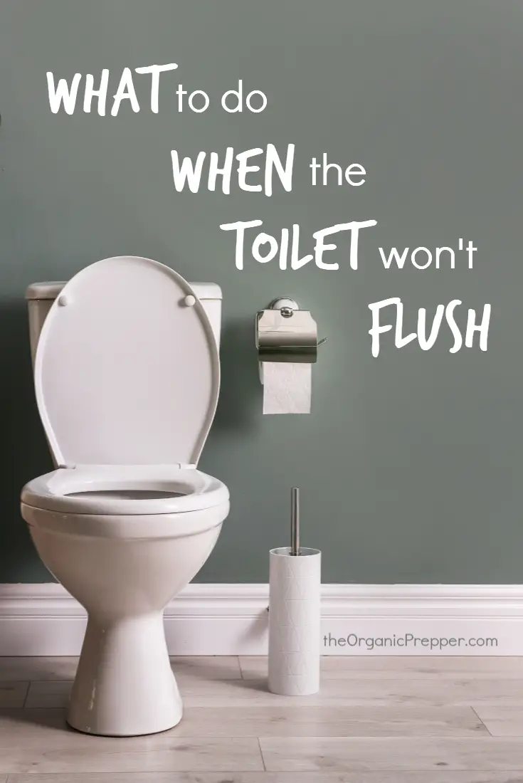 Sanitation in the City: What To Do When the Toilet Won\'t Flush