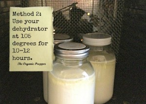 method 2 for yogurt making