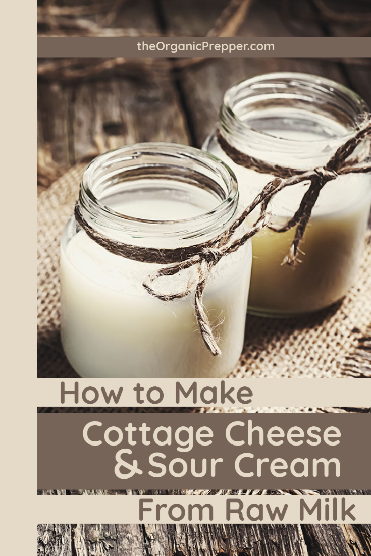 How to Make Cottage Cheese and Sour Cream from Raw Milk