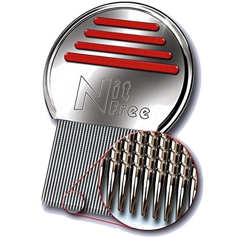 lice comb