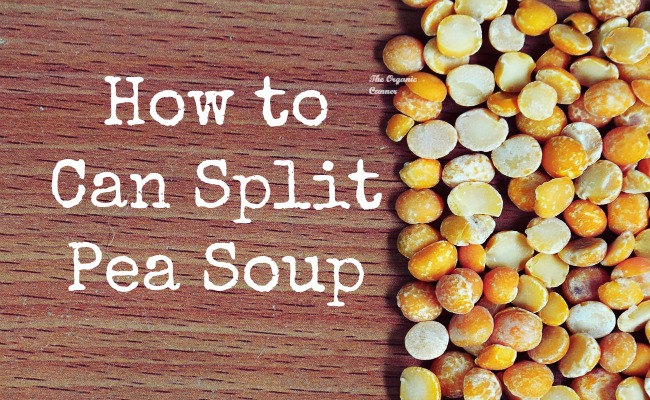 How-to-Can-Split-Pea-Soup