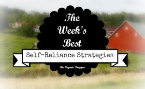 Jan 20 Self Reliance Strategies of the Week