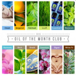 Oil of the Month Club Top Sellers