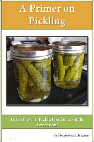 A Primer on Pickling