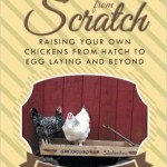 Chickens from Scratch