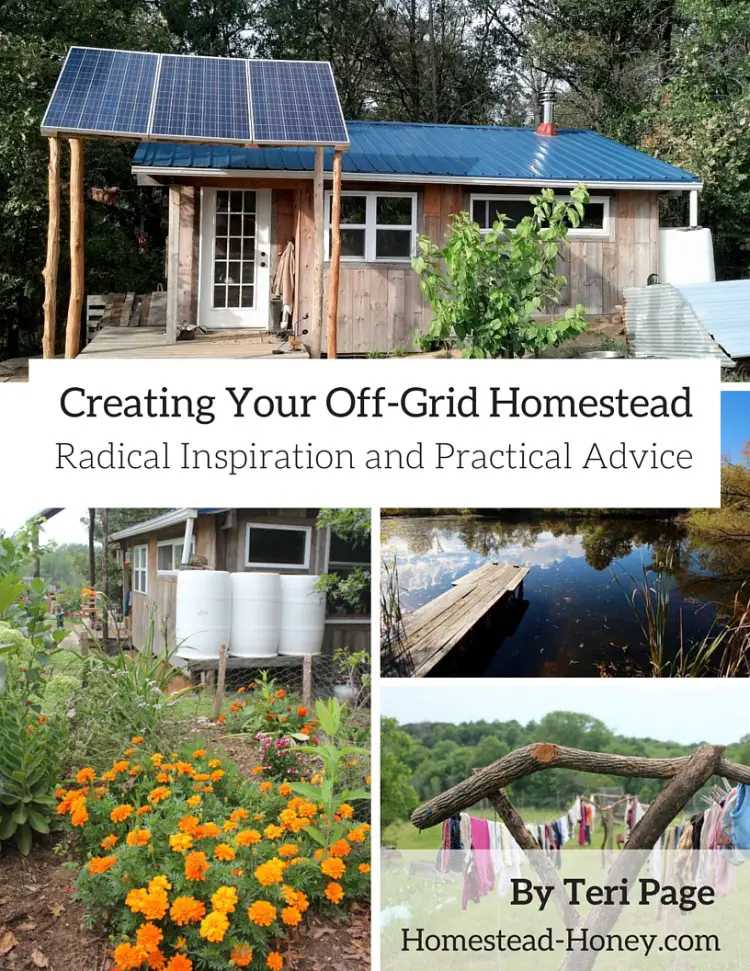 Creating-Your-Off-Grid-Homestead-750x971