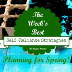 Feb 11 Self Reliance Strategies